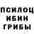 Псилоцибиновые грибы GOLDEN TEACHER capybara 7