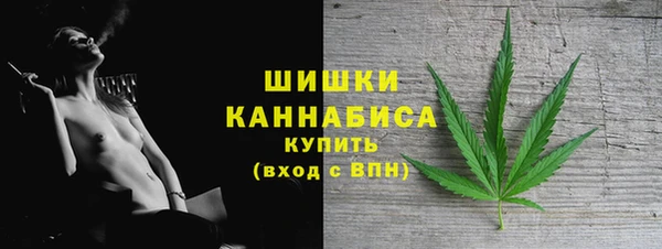 apvp Краснослободск