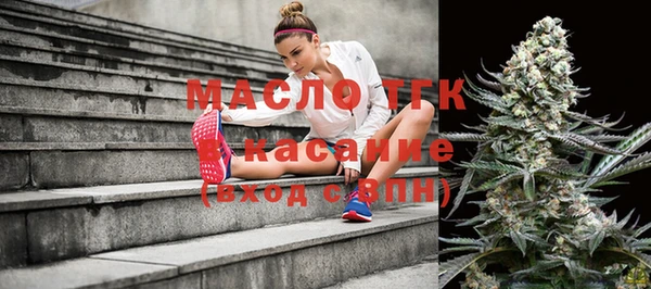 гидра Рославль