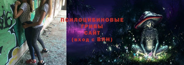 гашик Красноперекопск