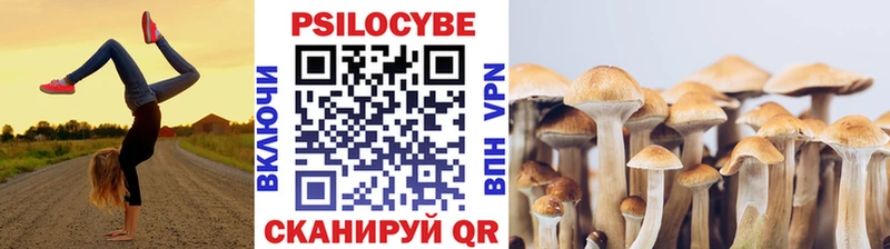 omg онион  Трёхгорный  Псилоцибиновые грибы Magic Shrooms 